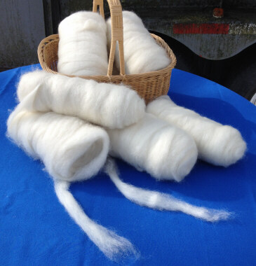 Icelandic lamb roving